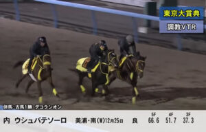 【東京大賞典】ウシュバテソーロ追い切りの常識をぶっ壊してしまう