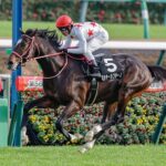 【競馬予想】[1] 第39回ホープフルステークス(GⅠ)/2022