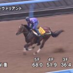 【チャレンジカップ2022】追い切り/追い切りが結果につながる