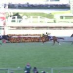 【競馬】有馬記念はルメール騎乗のイクイノックスがV