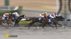 ノリ「ハピはブエナビスタのよう」