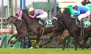 【ターコイズS】2番人気ミスニューヨークがゴール前抜け出しV！連覇達成