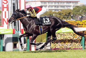 【競馬予想】第56回ステイヤーズステークス(GII) /2022