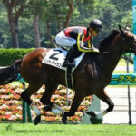 【競馬予想】[3]第74回阪神ジュベナイルフィリーズ(GI) /2022