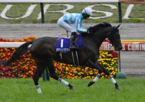 デアリングタクト年内休養 来年も現役続行