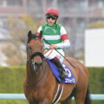 【有馬記念】エフフォーリア本命のヤツ