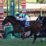 【競馬予想】[2] 第67回有馬記念(GI) /2022