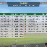 【激論】エフフォーリアは買うべきか 他