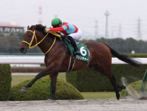 引退クリンチャーさん(牡8歳)にお疲れ様を言うスレ