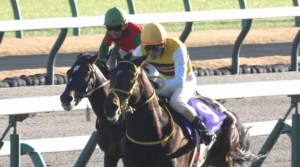 【中山大障害】新王者ニシノデイジー強すぎワロタ