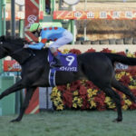 イクイノックス 木村哲也調教師「世界のホースマンに見ていただく価値のある馬」