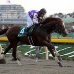 19年南部杯勝ち馬サンライズノヴァ(牡8)が引退