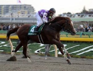 19年南部杯勝ち馬サンライズノヴァ(牡8)が引退