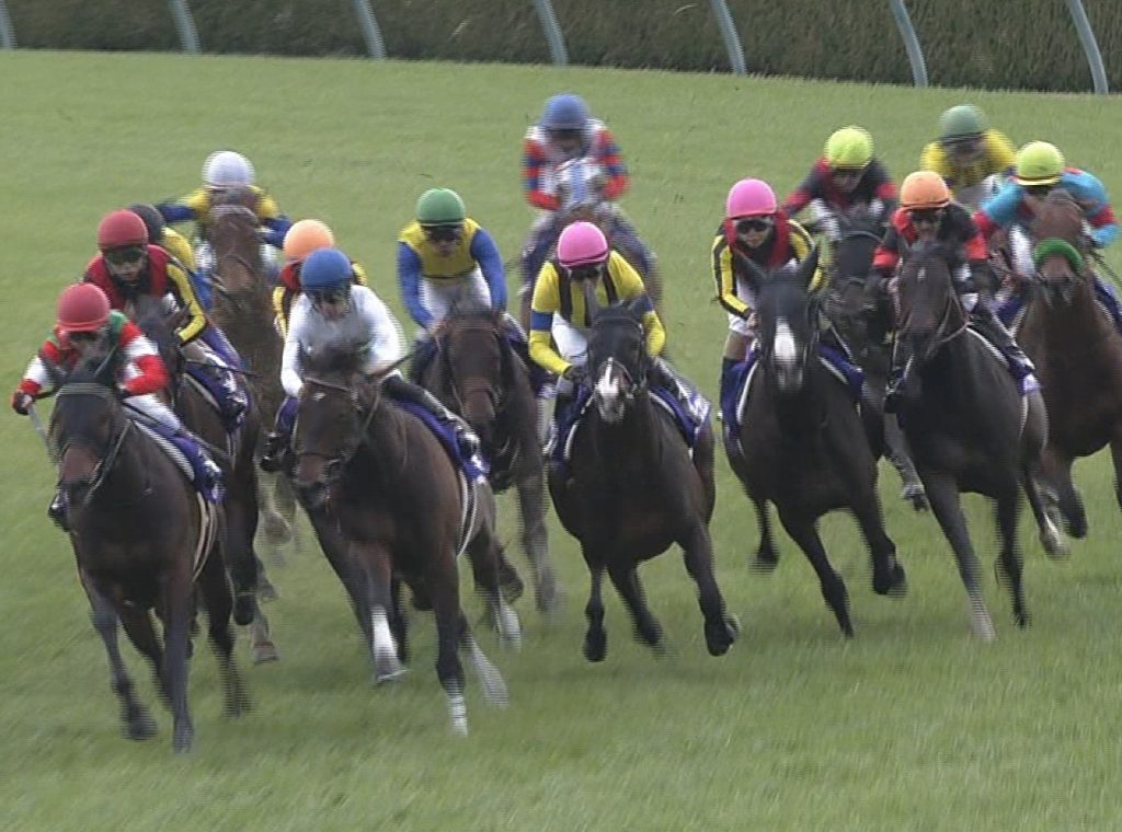 【競馬】香港カップに出走した馬は日本の恥