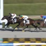 【競馬】阪神2R未勝利戦 武豊騎乗のスモーキンビリーがV