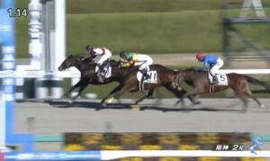 【競馬】阪神2Ｒ未勝利戦　武豊騎乗のスモーキンビリーがＶ