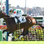 ディープとルドルフの血を引くレーベンスティールが快勝!