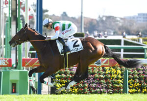 ディープとルドルフの血を引くレーベンスティールが快勝！