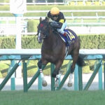 アスクビクターモア 有馬記念出ないってよ