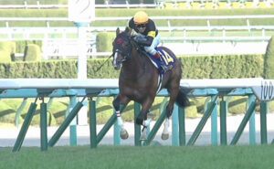 アスクビクターモア 有馬記念出ないってよ