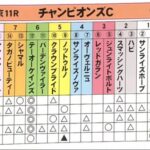 【チャンピオンズC】本命多数テーオーケインズ 他