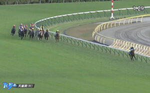 今年印象に残った競馬に関する事