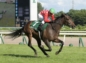 【阪神JF】キタウイングにひっそりと期待してる奴