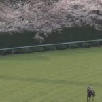 【競馬】福永祐一「調教師になってタッグを組みたい騎手はユウガですよ」