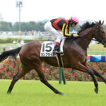 【阪神JF】ウンブライル横山武史「強い馬に乗せてもらってるが指折りに入ります」
