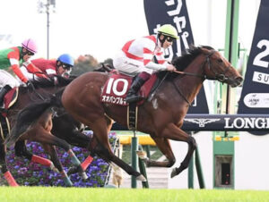 オオバンブルマイのルメールさんwwww