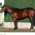 【有馬記念】エフフォーリアの馬体がマジで凄いことになってる件