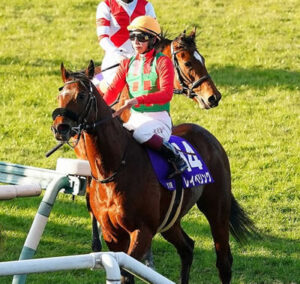 【朝日杯FS】レイベリングが意外に強くてワロタwww