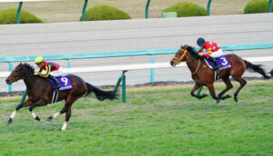 【阪神JF】12番人気シンリョクカ買えたヤツwww