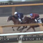 【中日新聞杯2022】追い切り/動きを見極め勝利に近づけ