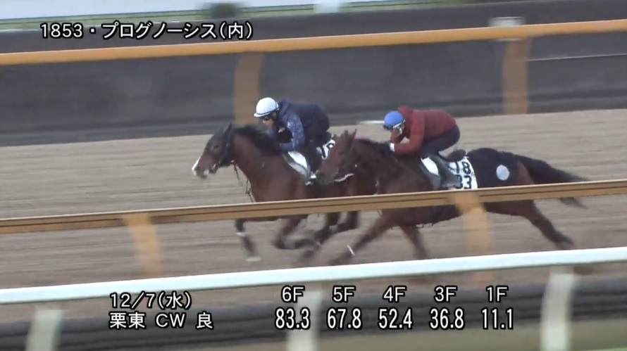 【中日新聞杯2022】追い切り/動きを見極め勝利に近づけ