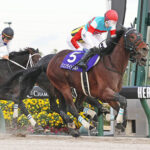 【チャンピオンズC】ジュンライトボルトがゴール前差し切ってV!3連勝で人馬共にGI初制覇