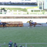 【有馬記念】ボルドグフーシュ地味に強い