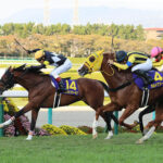福永、現役最後の有馬記念騎乗は菊花賞2着ボルドグフーシュ