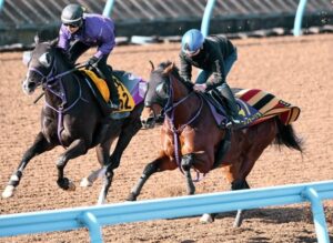 横山武史「昨年の姿を求めるのではなく、今のエフフォーリアを受け止めたい」