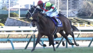 ●エフフォーリア、有馬記念で1年ぶりのレースへ