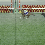 【有馬記念】エフフォーリア5着www