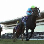 【有馬記念】天才イクイノックス強すぎワロタwwwwww