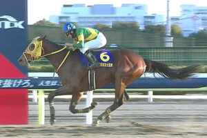 【東京大賞典】売上62億7471万1900円 昨年より7億ダウン