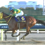 【東京大賞典】ウシュバテソーロが差し切りV!重賞初参戦G1制覇