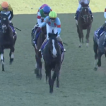 ●年度代表馬 イクイノックス