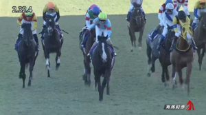 ●年度代表馬 イクイノックス