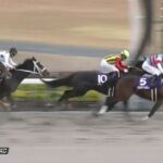 【競馬】チャンピオンズCは石川騎乗のジュンライトボルトがV テーオーケインズは4着