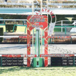 【有馬記念】降雪通行止めで関西馬の到着遅延 ジェラルディーナとボッケリーニは足止め回避