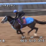 【中山大障害2022】追い切り/抜群の動きを見せたのは