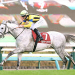 ステイヤーズS勝ちシルヴァーソニックが有馬記念に緊急参戦!